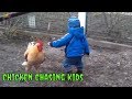 Chickens chasing kids and dogs - Funny vines 2019