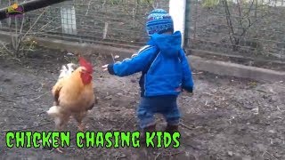 Chickens chasing kids and dogs - Funny vines 2019