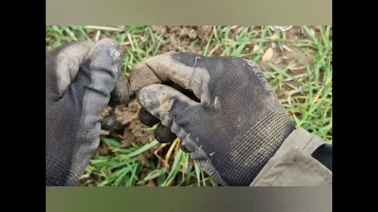 Compilation from the weekend