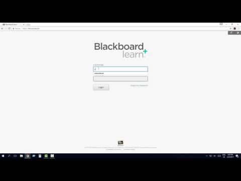 blackboard login instruction