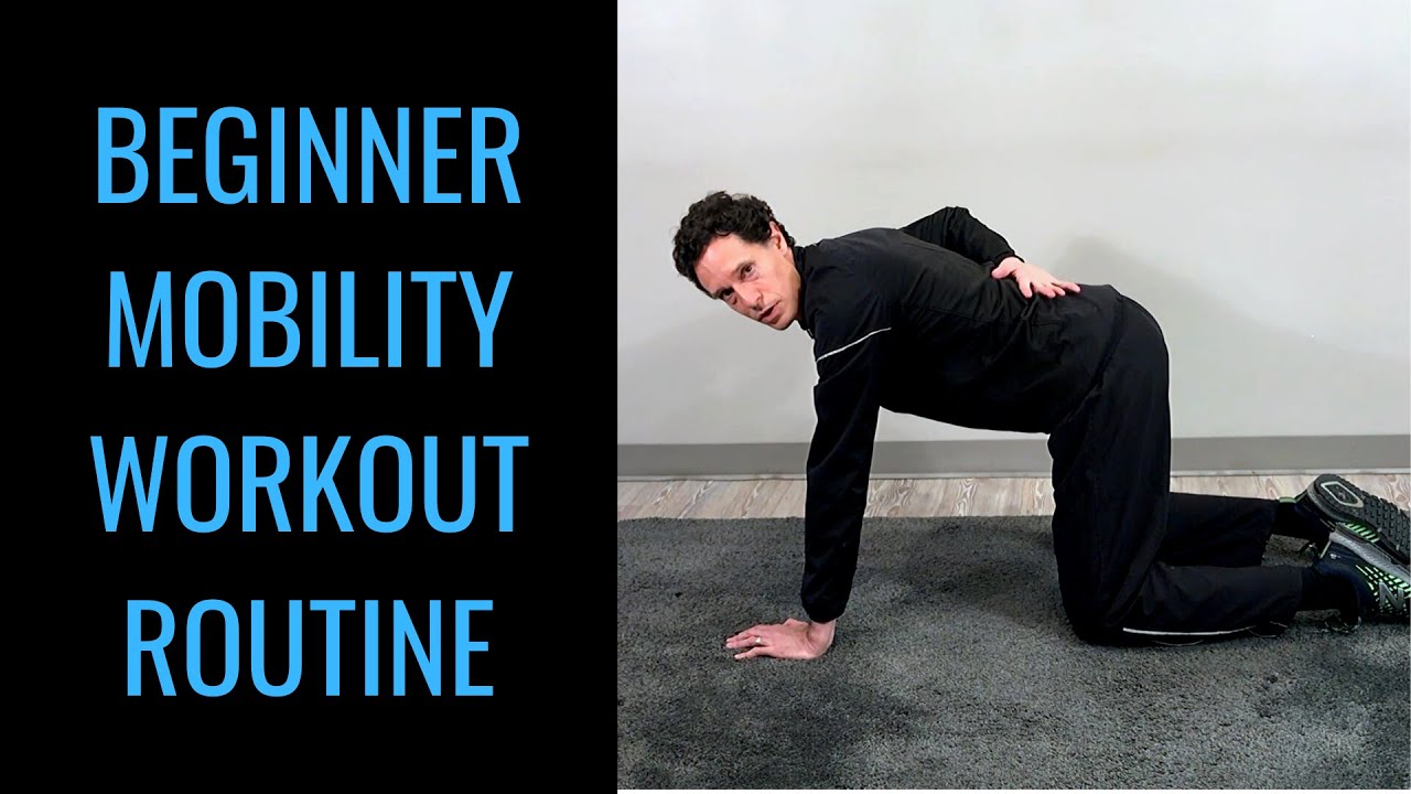 Beginner joint movement and mobility exercise routine demonstration