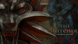 King of the Crypt | Witcher Part 11