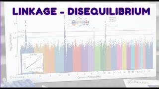 Linkage Disequilibrium, HapMap & GWAS Simplified