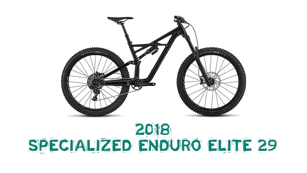 specialized enduro 2019 elite