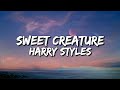 Harry Styles Sweet Creature Lyrics Video mp3