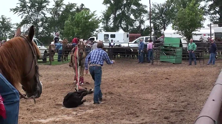 Wilbur (Travis Mcintyer Roping 1)