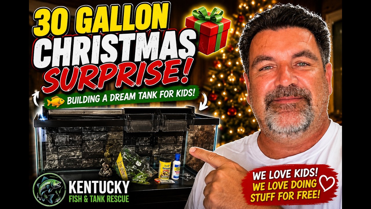 🐠 Building a 30-Gallon Aquarium for Some Awesome Kids! 🎄❤️