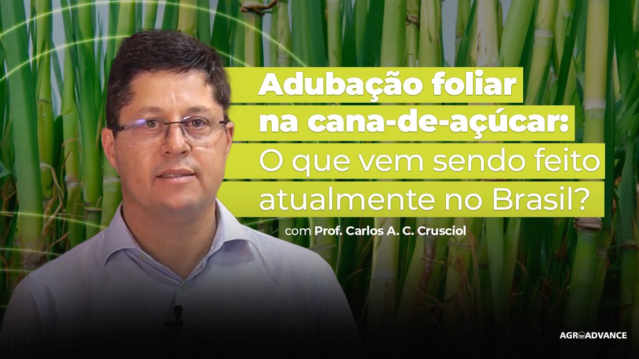 Adubação foliar na cana-de-açúcar: inovações e resultados no Brasil