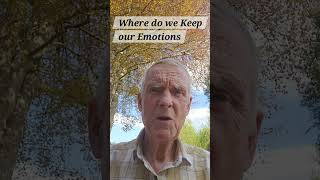 Famous A guide for the awakening soul. Where do we keep emotions? Wealth