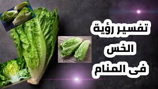 تفسير رؤية الخس فى المنام اكل الخس زراعة الخس حلم بيع الخس بالتفصيل