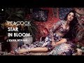 Kiara Advani Latest Photoshoot for Peacock Magazine!