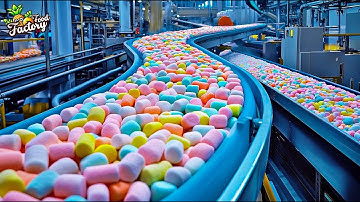 How Marshmallows Are Made - Explore the Marshmallow Production Process in a State-of-the-Art Factory