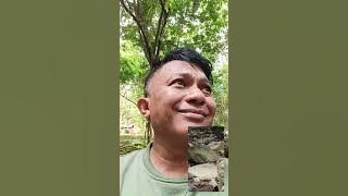 Belajar senyum hari ke 4 ditemani suara tonggeret dan suara air Curug 