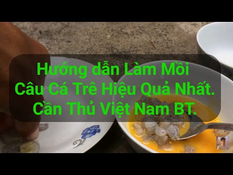Video Hướng Dẫn Làm Mồi Câu Cá Trê Hiệu Quả Nhất - Cần Thủ... - youtube