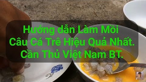 Hướng Dẫn Làm Mồi Câu Cá Trê Hiệu Quả Nhất - Cần Thủ Việt Nam BT