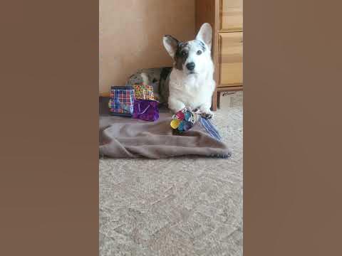 вот так надо поздравлять с 8 марта