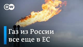 Почему импорт сжиженного газа из России в ЕС растет несмотря на агрессию Кремля против Украины?
