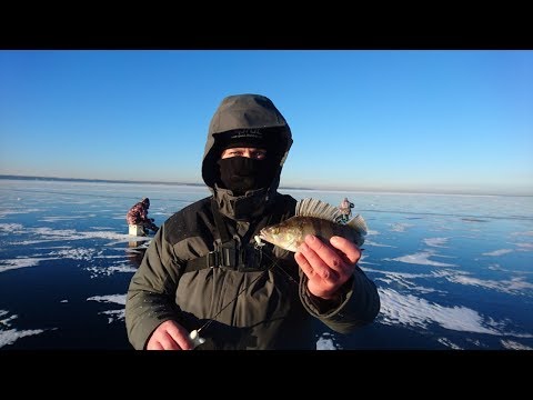 Первое декабря. Открытие сезона на Горьковском водохранилище