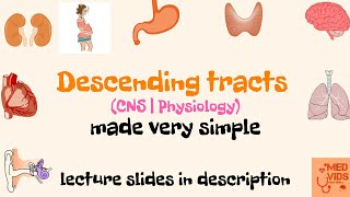 Descending tracts | Pyramidal and Extra-pyramidal tracts | Med Vids made simple