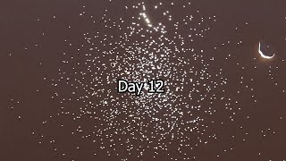 Day 12