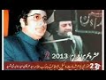 Allama nasir abbas multani safeer e aza official subscrib