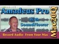 Amadeus Pro - Record Audio off your Mac