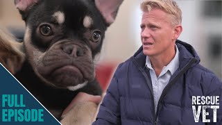 400 dogs on waiting list for one animal rescue centre! | Rescue Vet with Dr Scott Miller