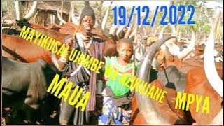 MAYIKUSAI UJUMBE WA NZIKUJANE MAUA MBASHA STUDIO 19/12/2022