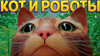 КОТ И РОБОТЫ ( Stray )