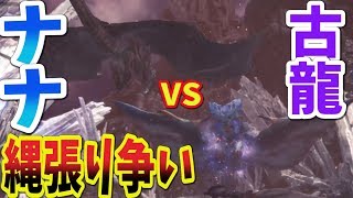 【MHW】ナナ・テスカトリ VS 古龍　全縄張り争い【モンスターハンターワールド】ネルギガンテ・クシャルダオラ