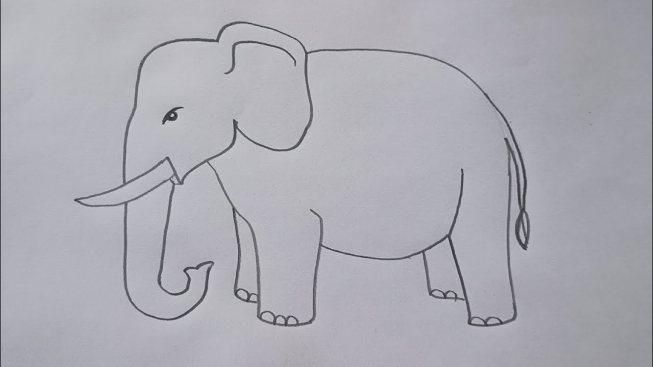 Aggregate more than 159 simple elephant sketch latest