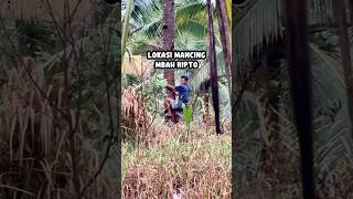 Download Lagu Lokasi Mancing Mbah Ripto #pusanggala #mancing MP3