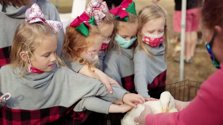Holliday in Virginia: Traveling with 6 kids