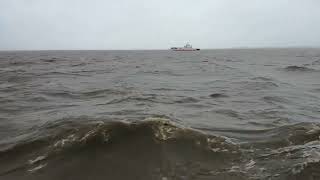 Elbfähre Wischhafen Ausfahrt Nach Glückstadt Bei Stürmischem Hochwer