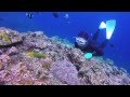沖縄の真栄田岬で素潜り！ Freediving in Okinawa, Japan!（11月）