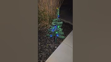 Solar powered mini LED Christmas trees for outdoor holiday décor #tiktokshopcreatorpicks