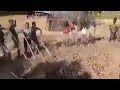 Hawaasa Harargee Yeroo Midhaan Tumatan Ykn Calleessan Shoobdoo Jedhama Hawaasa Harargee Yeroo Midhaan Tumatan Ykn Calleessan Shoobdoo Jedhama
