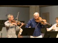 Capture de la vidéo Kurt Atterberg: Suite No. 3, Op. 19 For Violin, Viola And String Orchestra, Vision