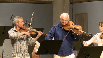 Kurt Atterberg: Suite No. 3, Op. 19 for violin, viola and string orchestra, Vision