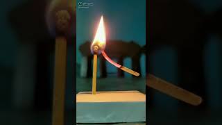 Valobasha Ta Erokom Houa Uchit ... morle Eksathe morbo basle Ek sathe basbo😍😍