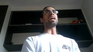 Masterplan - Falling Sparrow (by @andre_leme_)