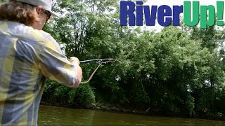 Fly Fishing the Huron [Ypsilanti, Michigan]