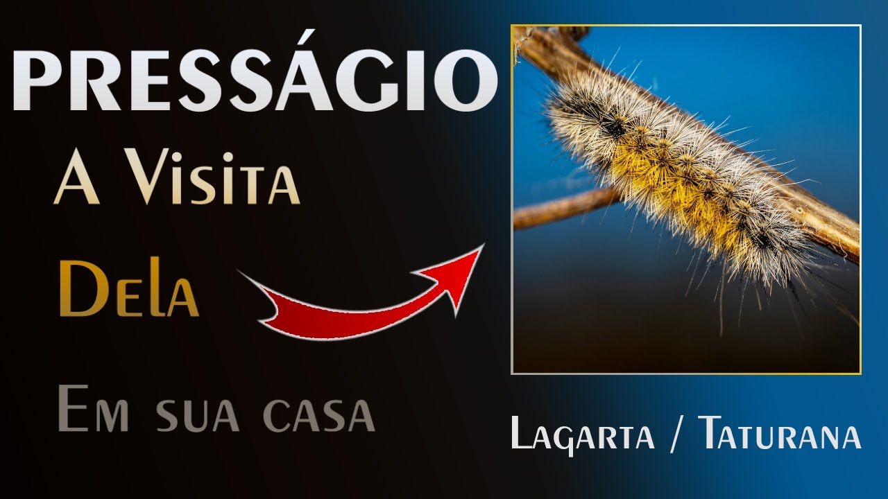 🏡 O Presságio da Lagarta - Tempo de Libertação ou de Desafios?