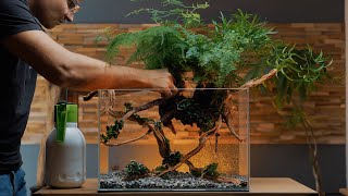 New Luxury Planted Tank for my 3 Years Old Betta - Aquascape Tutorial