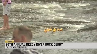 20Th Annual Reedy River Duck Derby At Falls Park