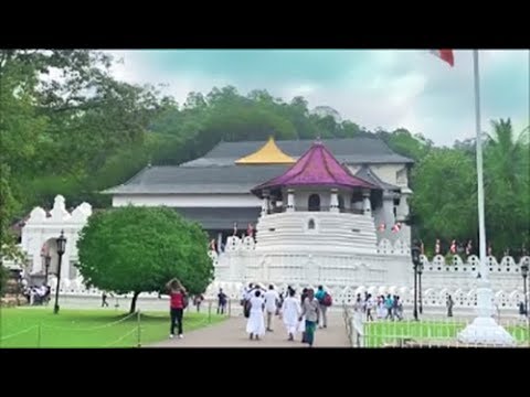 Vídeo: Templo Do Dente De Buda. Sri Lanka. Kandy - Visão Alternativa