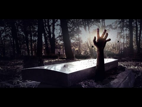 Жизнь, смерть и жизнь после смерти -2 (Алексей Юдин)