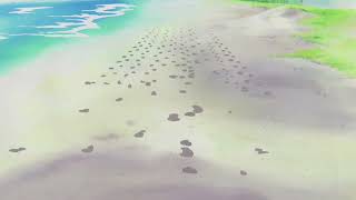 One Piece - Before Dawn (Thriller Bark ending)