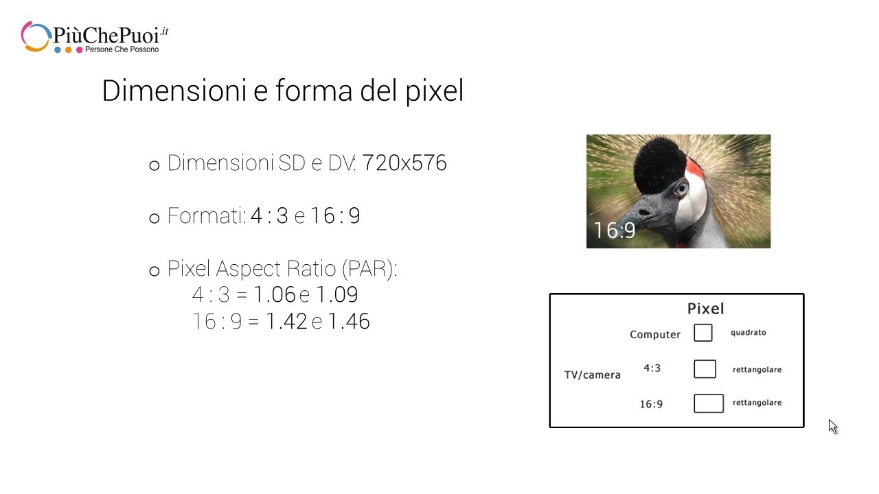 Adobe After Effects A Cosa Serve