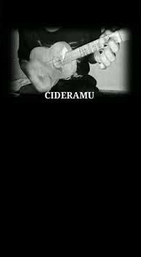 Story WA -||Flim murahan || Romi The jahats